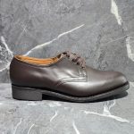 Parabelium Brown